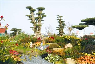 花境行業(yè)發(fā)展需培養(yǎng)專(zhuān)業(yè)人才