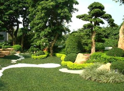 技術(shù)|開(kāi)春園林綠化養(yǎng)護(hù)重點(diǎn)工作