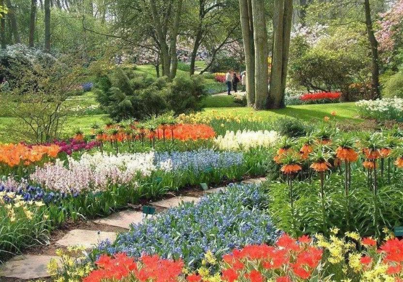 植物色彩在園林景觀設計中的季節(jié)性應用