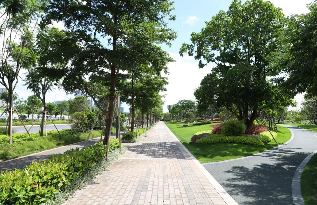 襄陽園林綠化公司教你如何科學(xué)防控園林苗木病蟲害