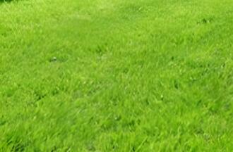 依其用途，草坪可分為幾類呢？